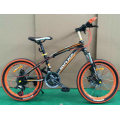 Wholesale 20 Inch Disc Brake Student Kids Mountain Bicycle Bike